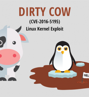 dirty cow exploit