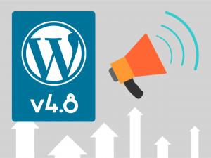 wordpress 4.8 what to expect