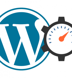 13 tips to improve your WordPress website speed