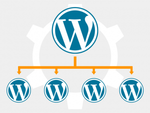 manage multiple wordpress sites
