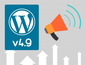 WordPress 4.9 - what to expect?