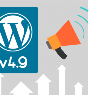 WordPress 4.9 - what to expect?
